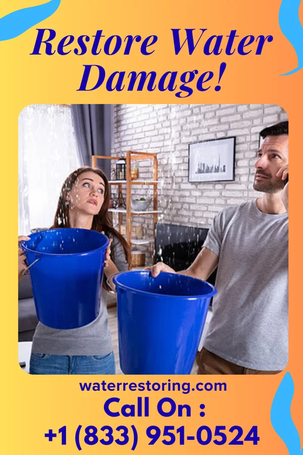 water restoration Peak Sewage Cleanup Crew Donora