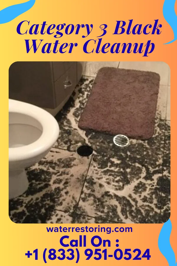Category 3 Black Water Cleanup in Donora, PA