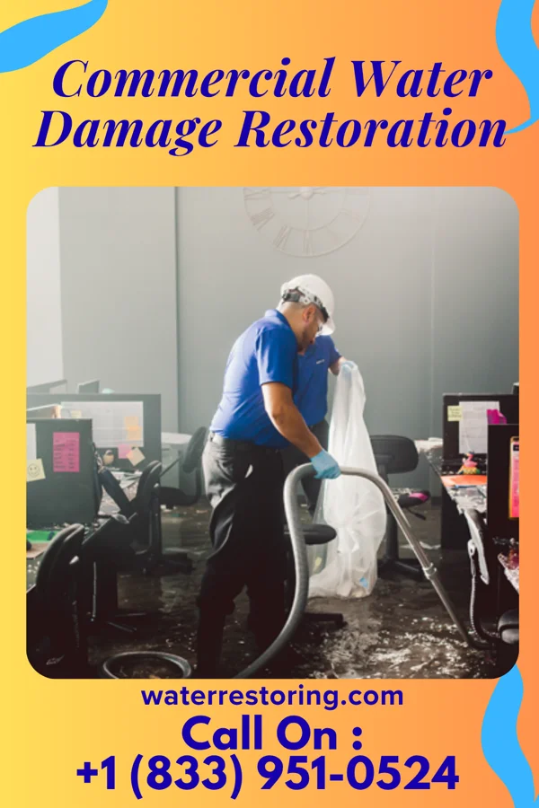 Commercial Water Damage Restoration in Donora, PA