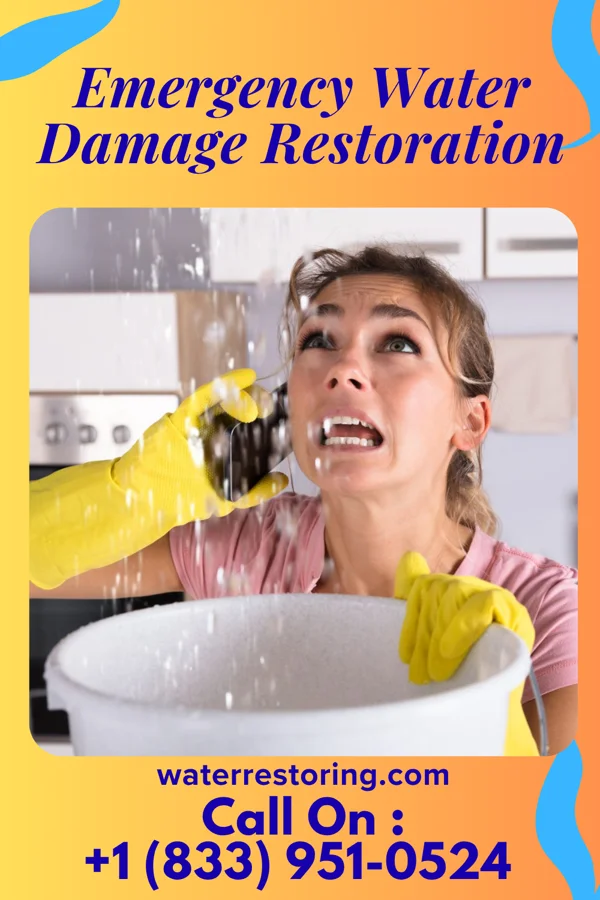 Emergency Water Damage Restoration in Donora, PA