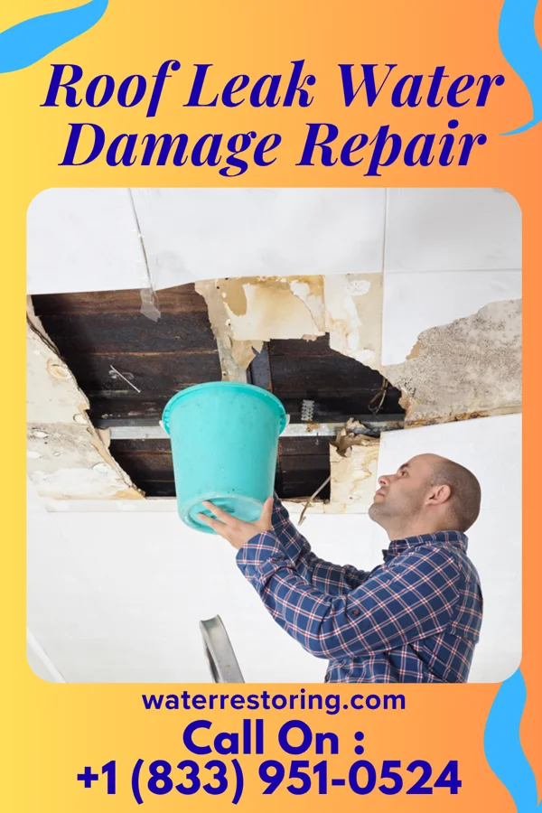 Roof Leak Water Damage Repair in Donora, PA