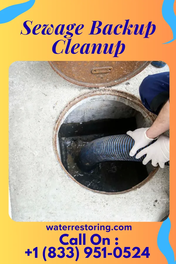 Sewage Backup Cleanup in Donora, PA