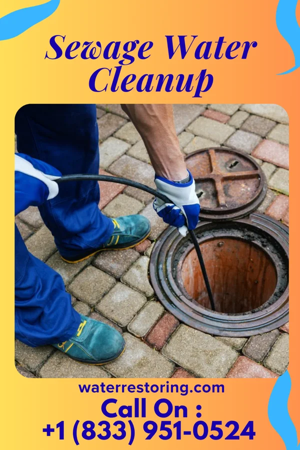 Sewage Water Cleanup in Donora, PA