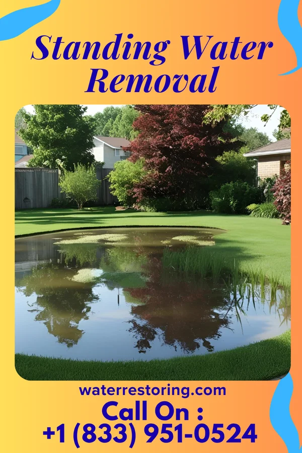 Standing Water Removal in Donora, PA